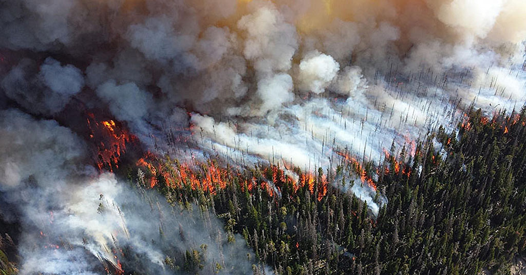 Wildfire forest aerial