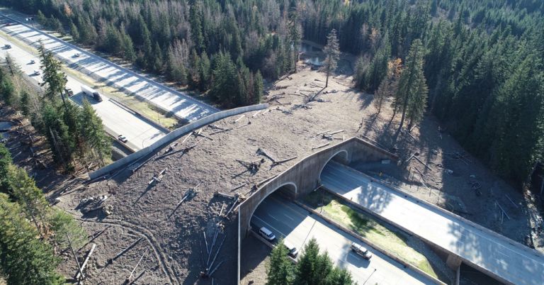 Wildlife Overcrossing on I-90