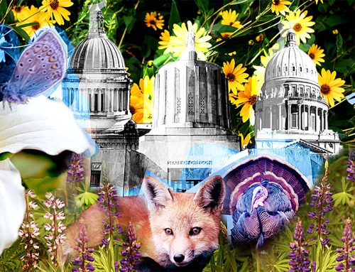 How much does your state spend on wildlife? Not what you think