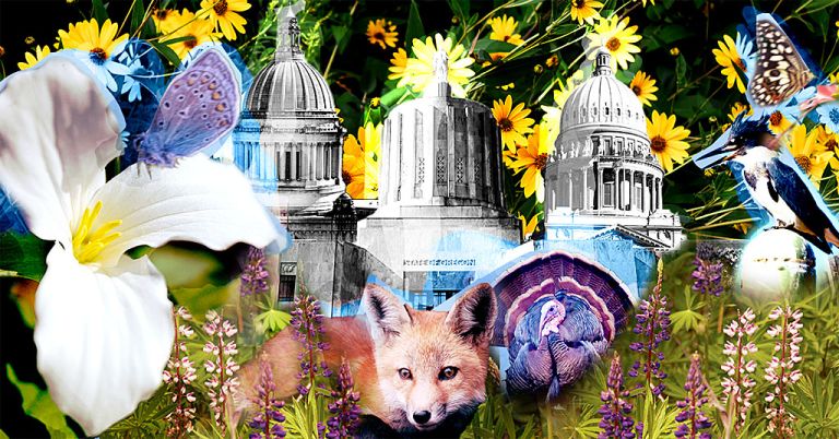 Pac NW state capitols and wildlife