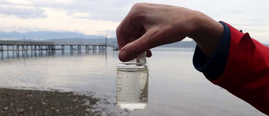 Water testing in Puget Sound