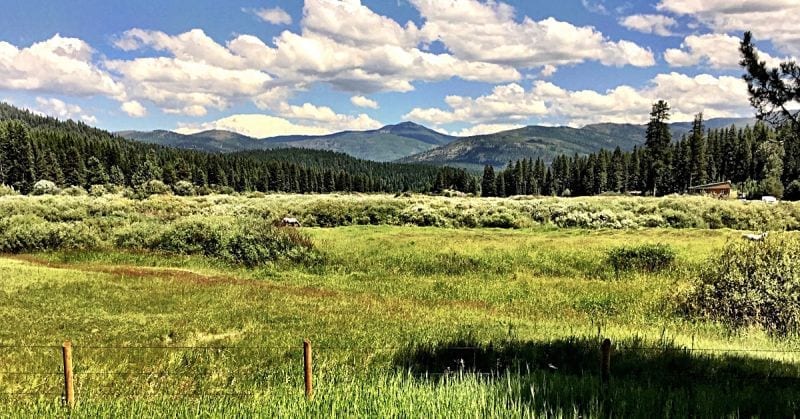 Yaak Valley sharpened 2016 Photo David Taylor