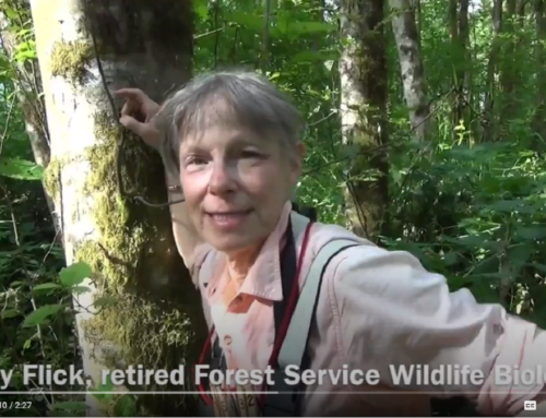 Gorge Scientists Series Part 2: Cathy Flick