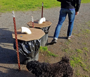 Dog waste receptacles