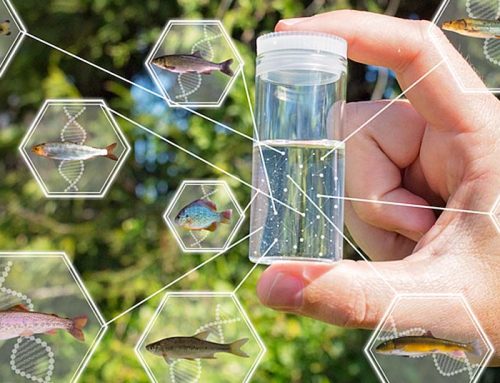 Why WDFW is bringing eDNA project to Washington rivers