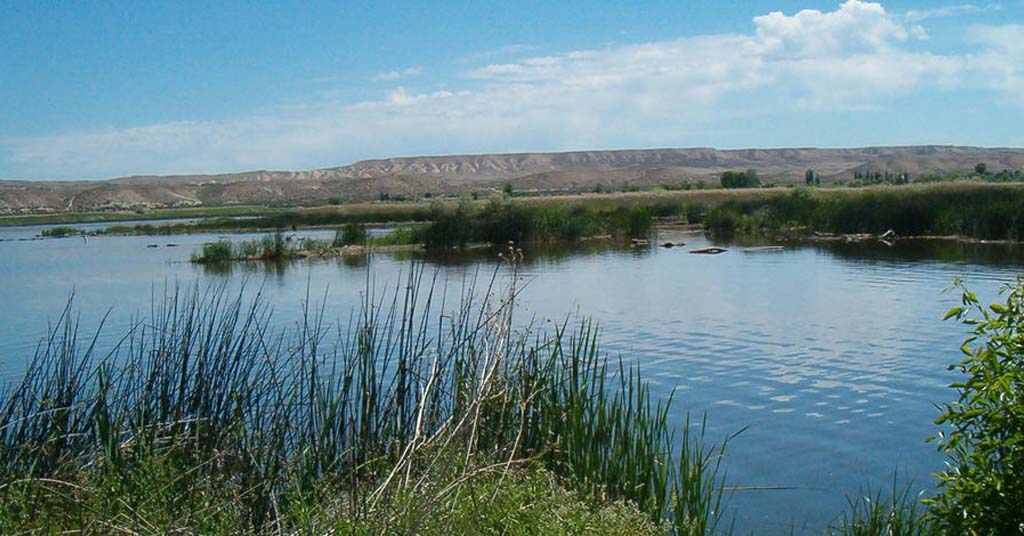 Idaho's C.J. Strike Wildlife Management Area