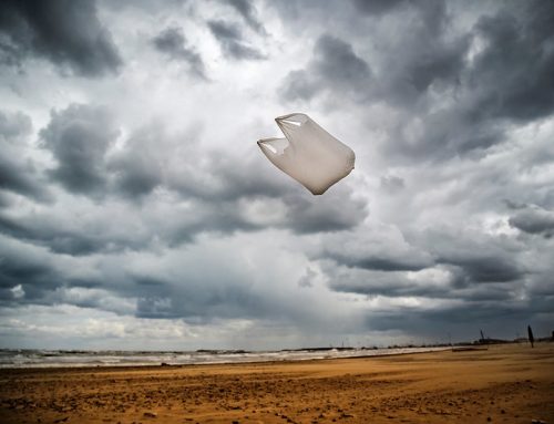 Ordenanza sobre la bolsa de White Salmon, probable pero incierta