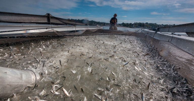 Use with Hakai reprint only