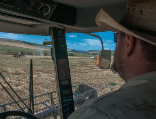 The Other Oregon (El Otro Oregon): El libro revela el este de Oregon como pocas veces lo has visto