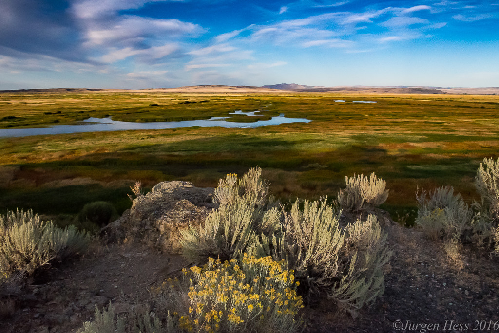 Malheur overview 