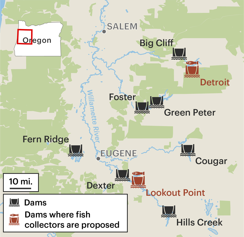 Map of Willamette River dam, 2023.